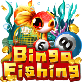 78 vin Câu Cá Bingo